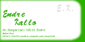 endre kallo business card